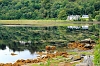 _MG_3063 Loch Sunart
